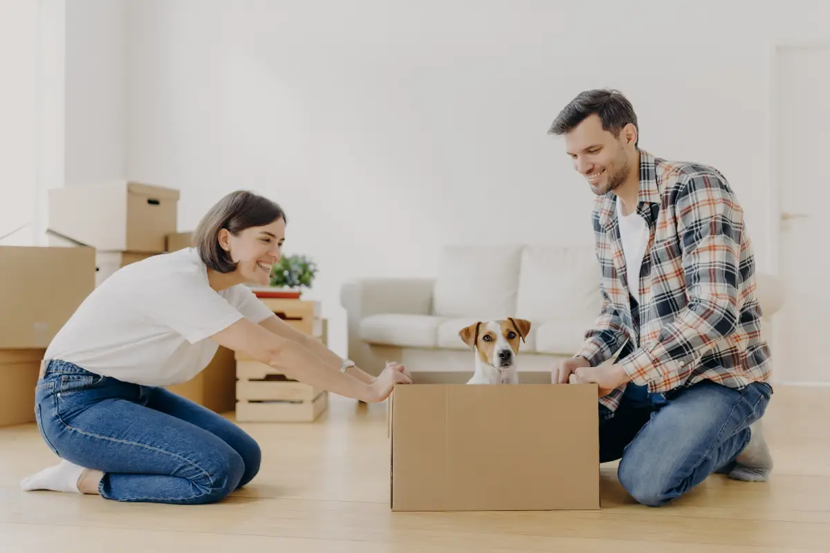 Pets and Policies: Smart Leasing Strategies for Austin Landlords